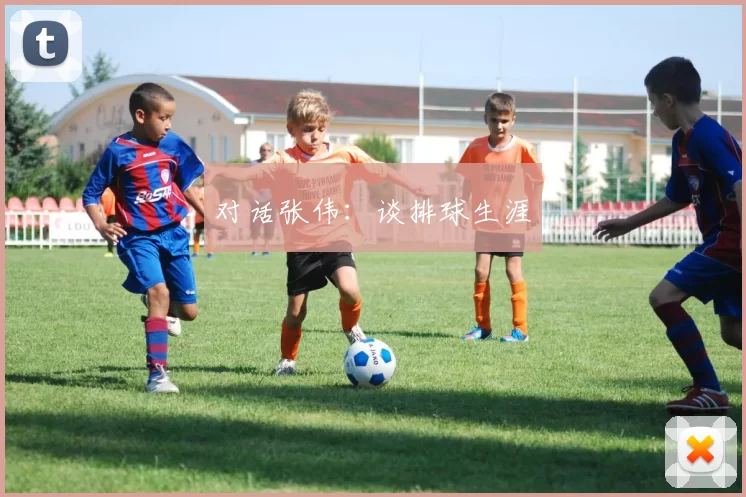 对话张伟：谈排球生涯