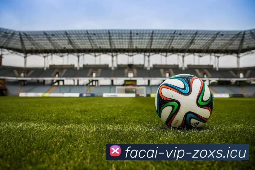 爱游戏体育平台生态图